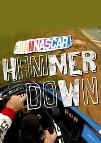 NASCAR Hammer Down thumbnail