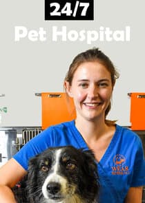 24/7 Pet Hospital thumbnail