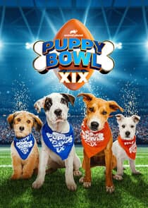 Puppy Bowl thumbnail