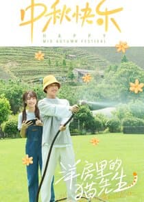 Mr. Cat in the Villa thumbnail