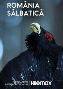 România Sălbatică thumbnail