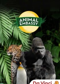 Animal Embassy thumbnail