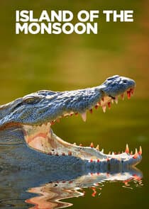 Island of the Monsoon thumbnail
