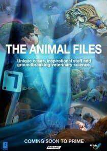 The Animal Files thumbnail