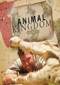 Animal Kingdom thumbnail