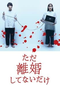 We Are Just Not Divorced thumbnail