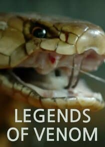 Legends of Venom thumbnail