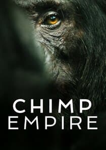 Chimp Empire thumbnail