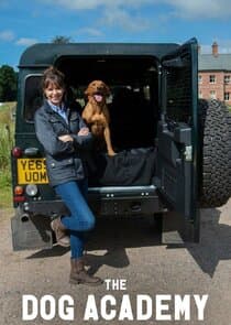 Bad Dog Academy thumbnail