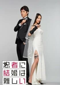Ninja ni Kekkon wa Muzukashii thumbnail