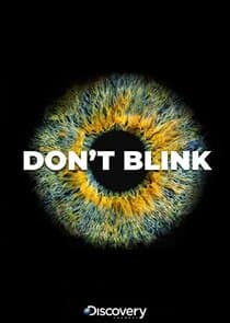 Don't Blink thumbnail