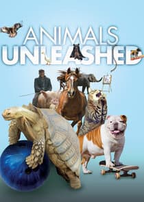 Animals Unleashed thumbnail