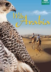 Wild Arabia thumbnail