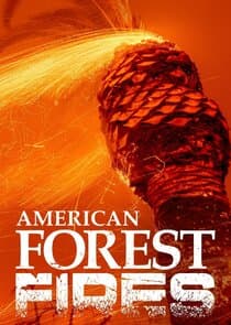 American Forest Fires: The Untold Story thumbnail