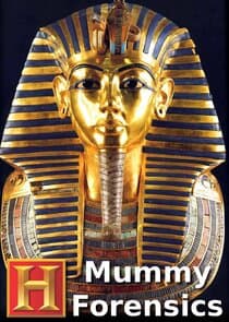 Mummy Forensics thumbnail