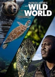 Patrick Aryee's Wild World thumbnail