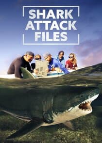 Shark Attack Files thumbnail