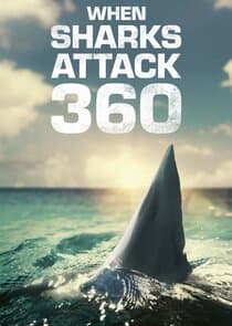 When Sharks Attack 360 thumbnail