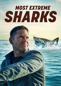 Most Extreme Sharks thumbnail
