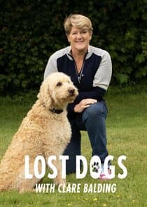 Lost Dogs Live with Clare Balding thumbnail