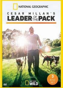Cesar Millan's Leader of the Pack thumbnail