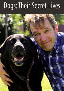 Dogs: Their Secret Lives thumbnail