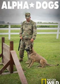 Alpha Dogs thumbnail