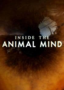 Inside the Animal Mind thumbnail