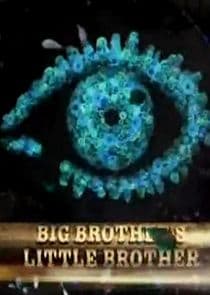 Big Brother's Little Brother thumbnail