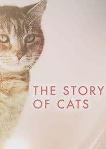 The Story of Cats thumbnail