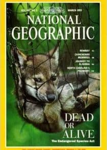 Dead or Alive thumbnail