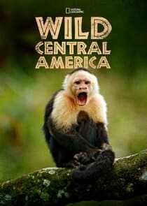 Wild Central America thumbnail
