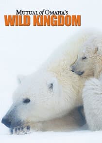 Mutual Of Omaha's Wild Kingdom thumbnail