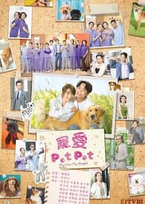 My Pet My Angel thumbnail