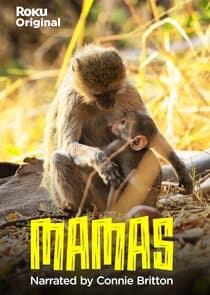 Mamas thumbnail