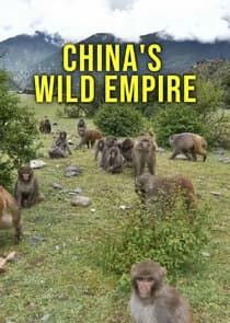 China's Wild Empire thumbnail