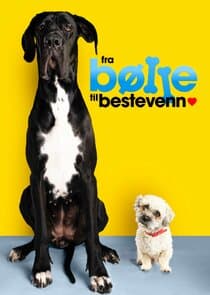 Fra bølle til bestevenn thumbnail