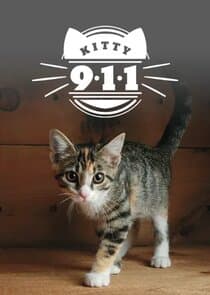 Kitty 911 thumbnail