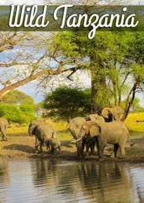 Wild Tanzania thumbnail