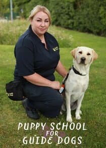 Puppy School for Guide Dogs thumbnail