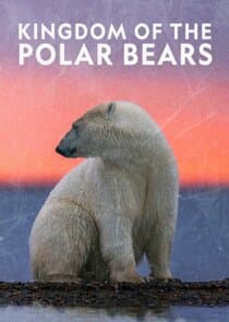 Kingdom of the Polar Bears thumbnail