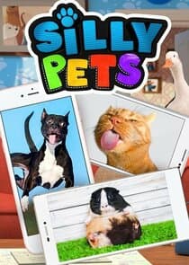 Silly Pets thumbnail