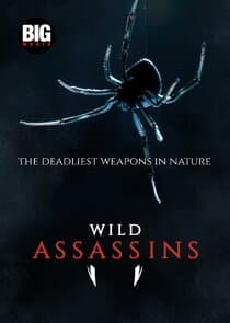 Wild Assassins thumbnail