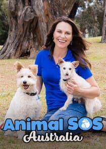 Animal SOS Australia thumbnail