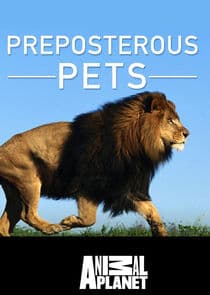 Preposterous Pets thumbnail