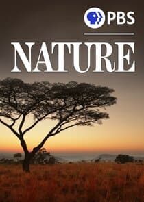 Nature thumbnail