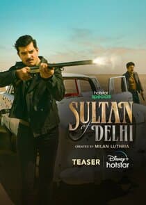 Sultan of Delhi thumbnail