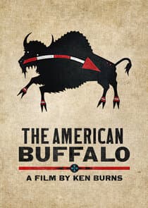 The American Buffalo thumbnail