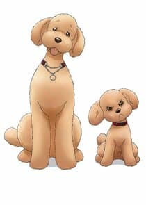 Dog Signal thumbnail