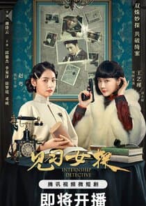 Internship Detective thumbnail